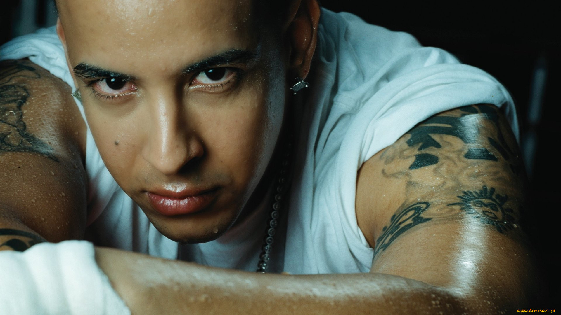 daddy, yankee, , , -, , , , 